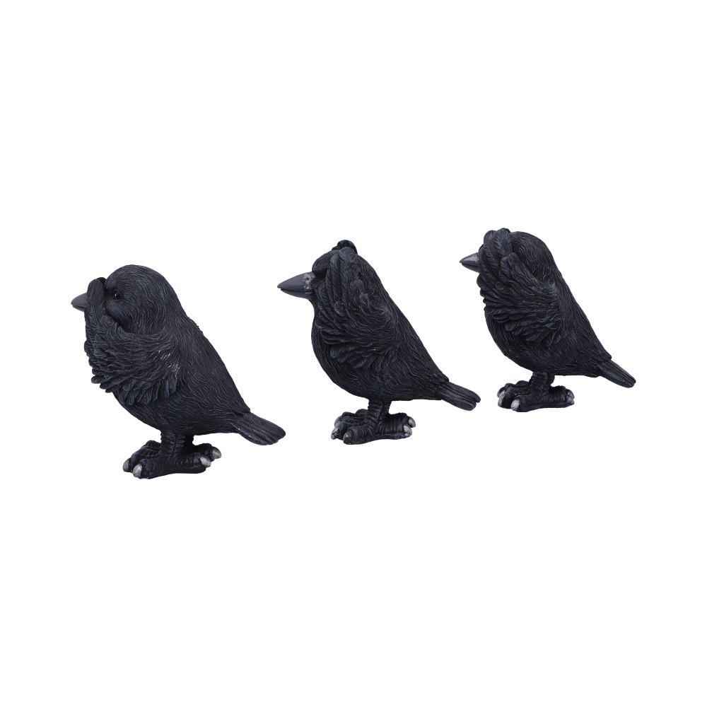 3 Wise Ravens