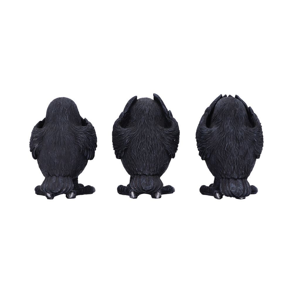 3 Wise Ravens