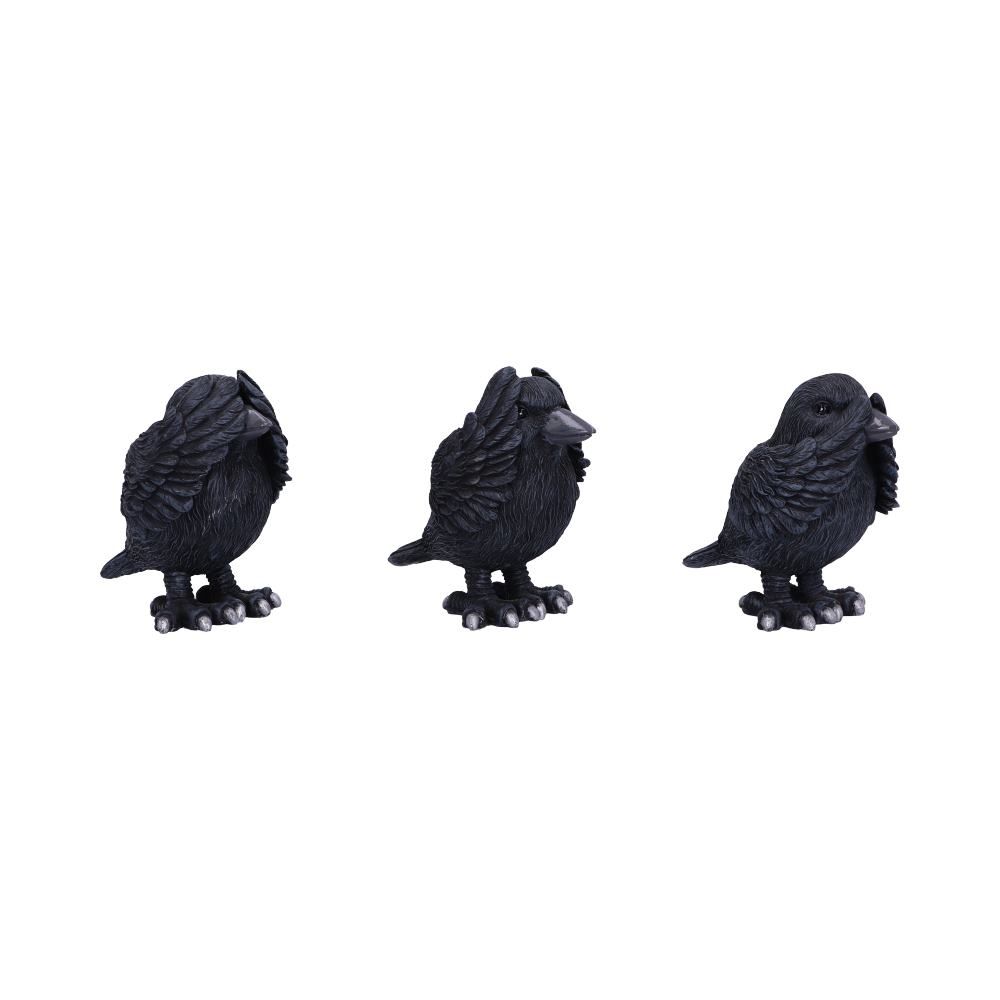 3 Wise Ravens