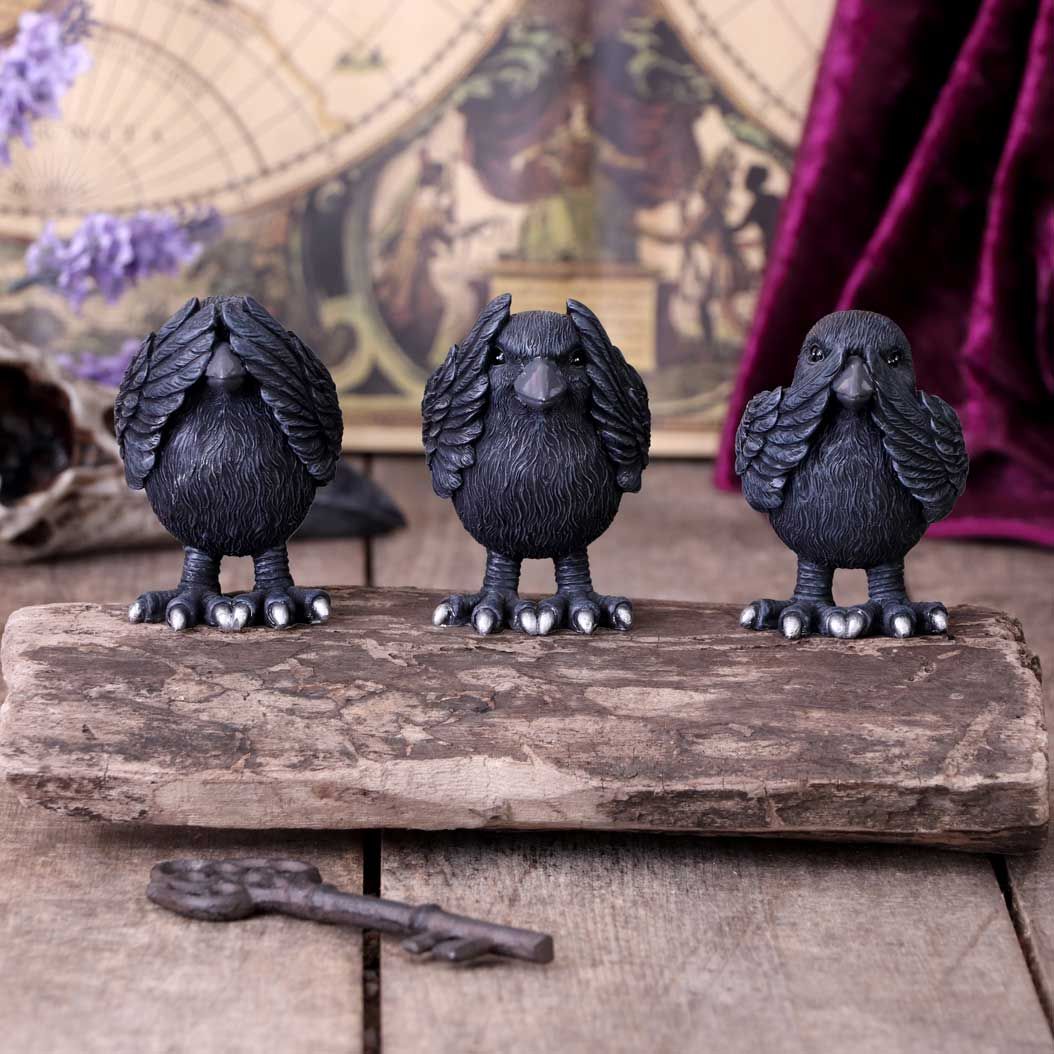 3 Wise Ravens