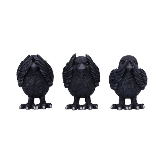 3 Wise Ravens