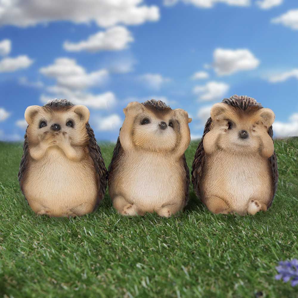 3 Wise Hedgehogs