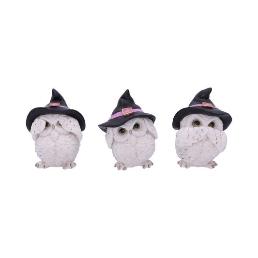 3 Wise Feathered Familiars