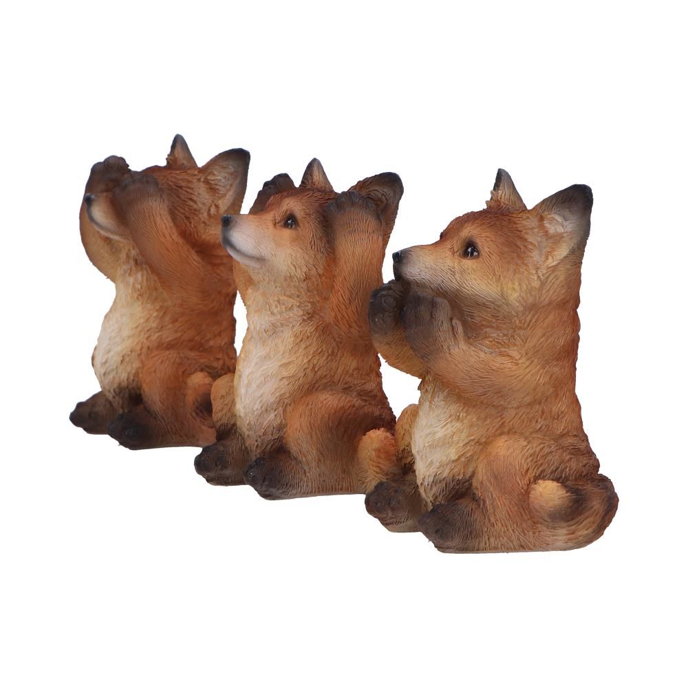 3 Wise Foxes