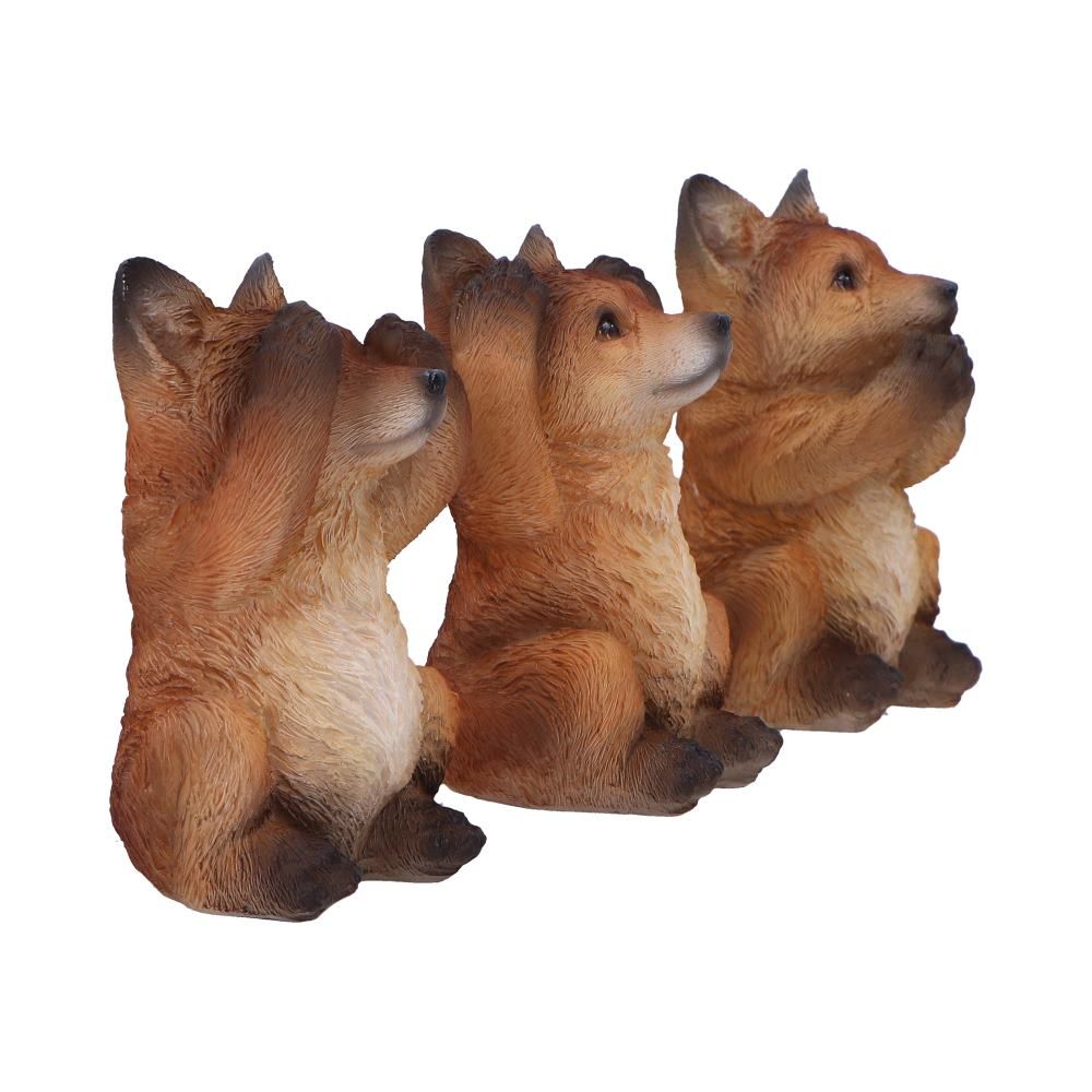 3 Wise Foxes